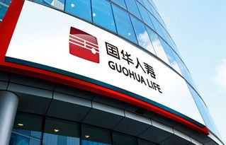 消費(fèi)結(jié)構(gòu)變革,如何通過品牌戰(zhàn)略調(diào)整實現(xiàn)企業(yè)新一輪增長