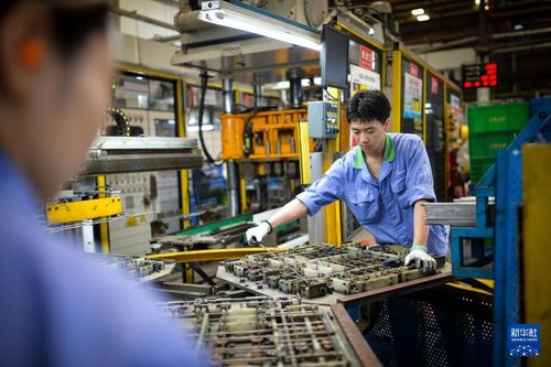 廣東佛山 因地制宜 向 新 而行